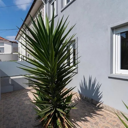 Charming Bright House W/ Garden Feriehus Porto